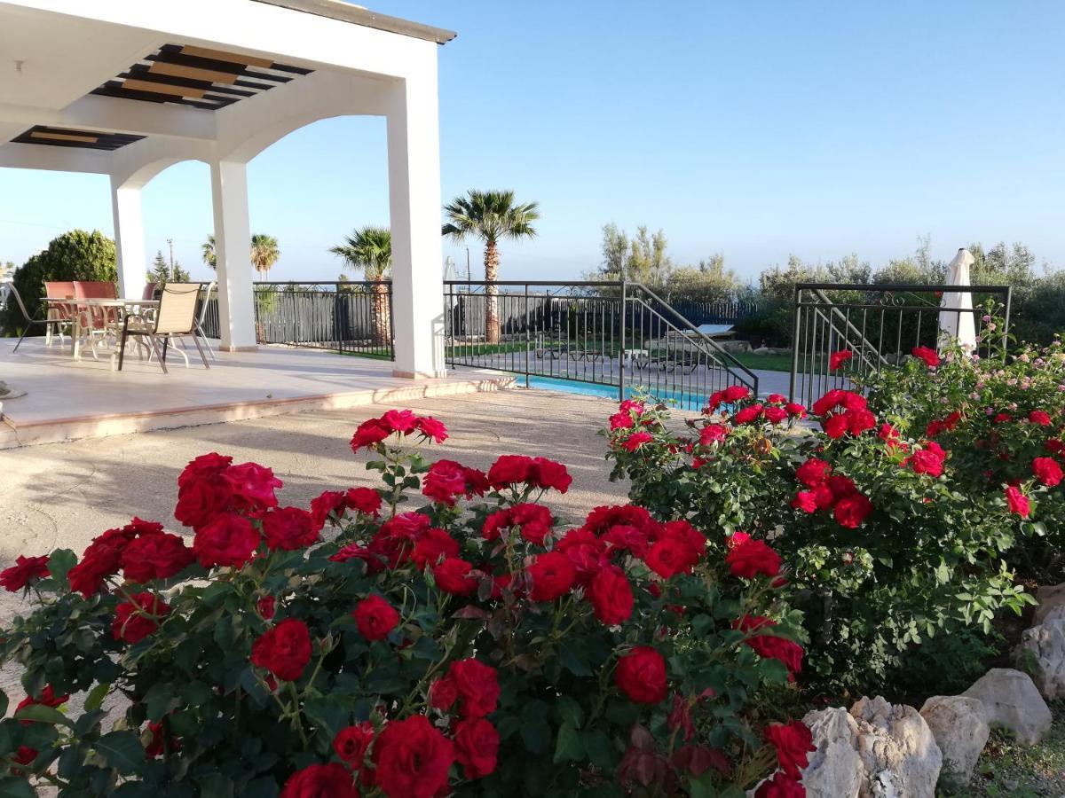 Vila Gabriella Pegeia Exteriér fotografie